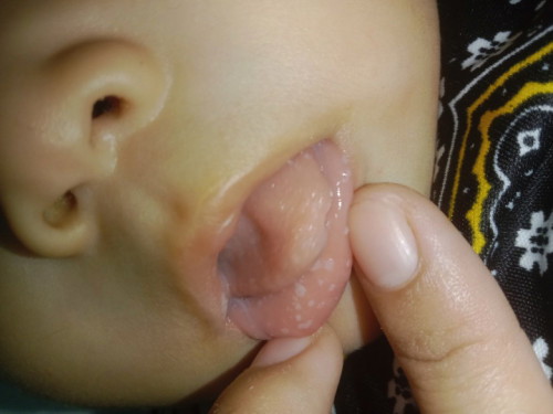 สอบถามหน่อยค่ะ