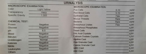 Urinalysis