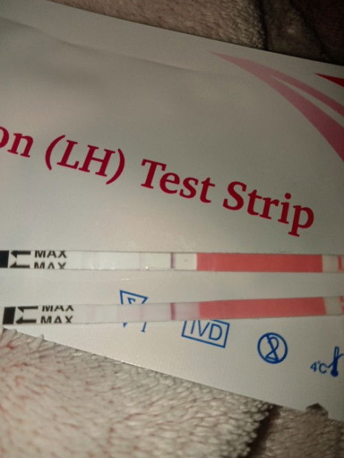 Depo user and ovulation strip test