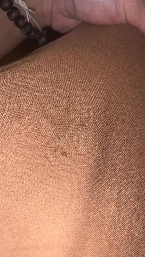 rembes asi atau bukan