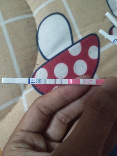 ที่ตรวจครรภ์