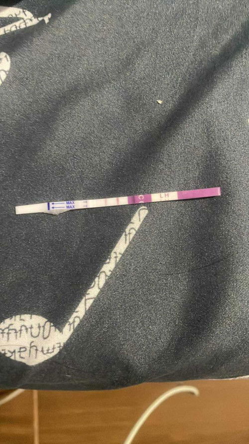 แบบนี้ ไข่ตกใหมคะ