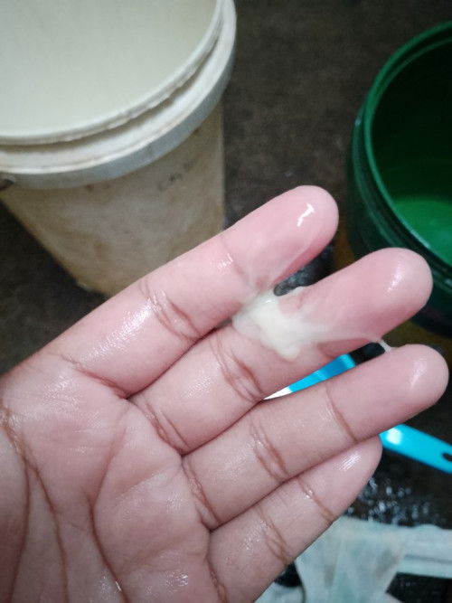 Parang plema sa vagina