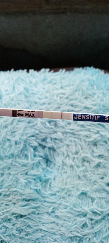 Garis 2 tapi masih samar"