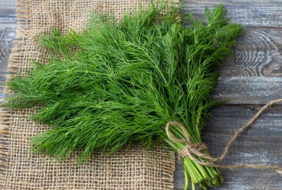 Sayur adas