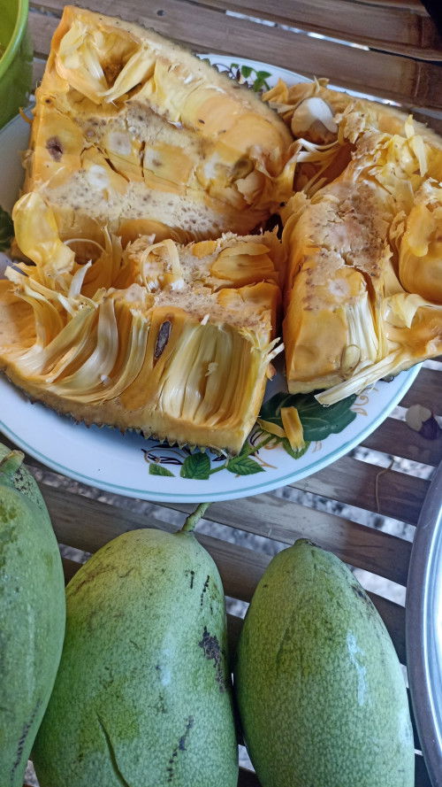 Bahaya nangka ibu menyusui