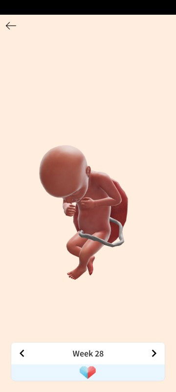 Kalo boleh tau yg model bgini perempuan atau laki laki