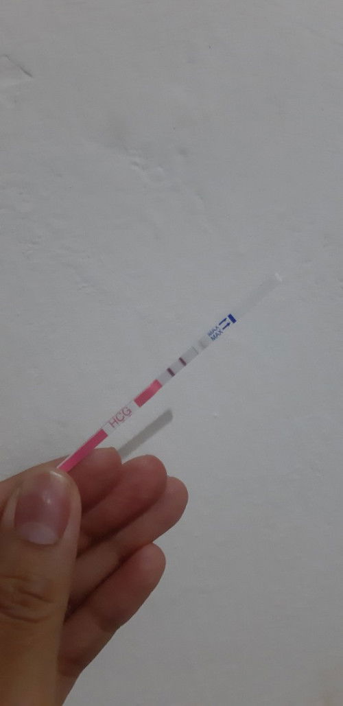 Menunggu USG pertama kali