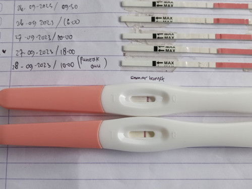 Soal dpo sesudah ovulasi