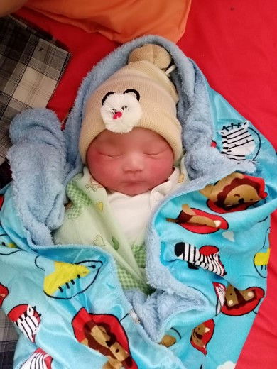 Bb 3.6kg . Panjang 49.