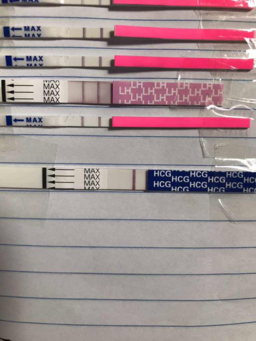 Salam, positif atau negatif.