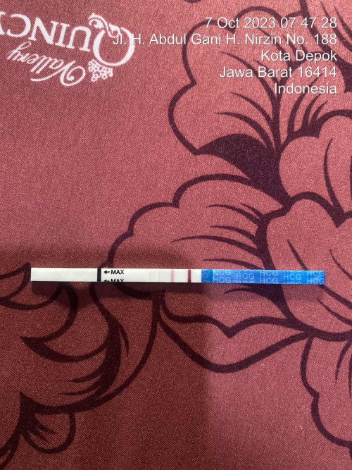 Nanya seputaran kehamilan