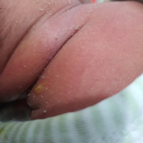 What is this? HELLLP!