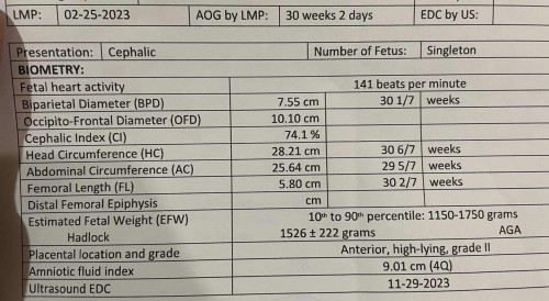 Ultrasound Result