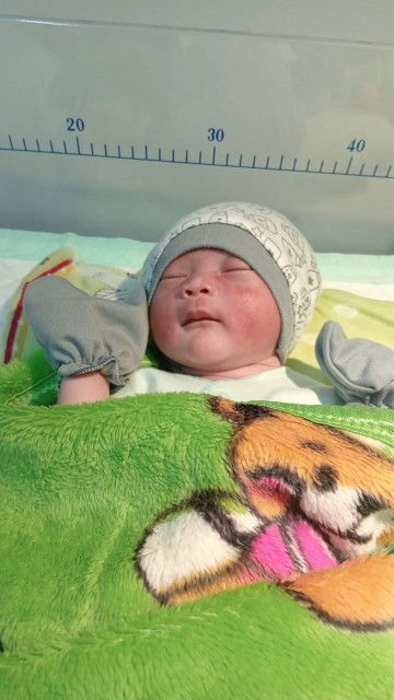 Hpl 20 oktober launcing 13 oktober