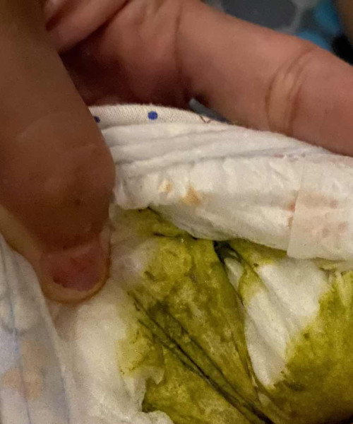 Pup anak warna hijau