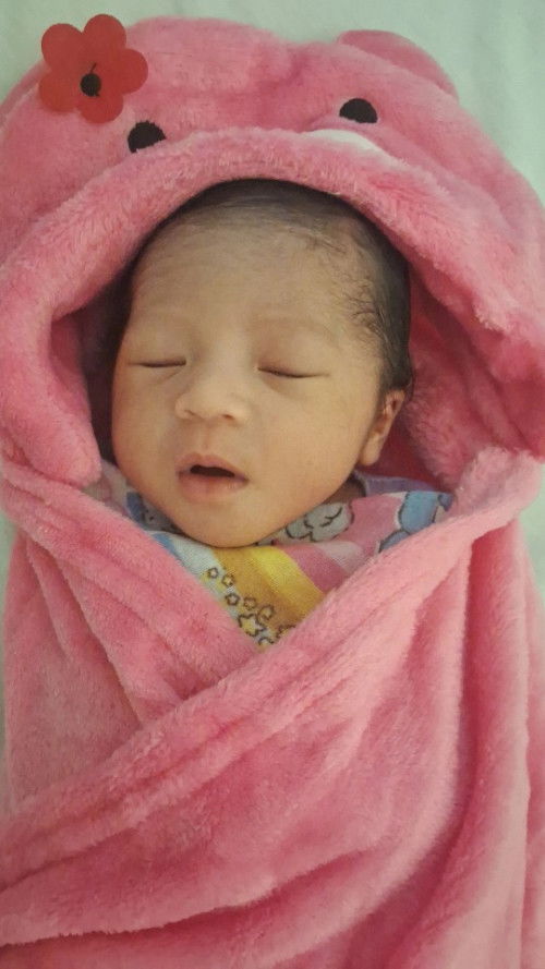 Hpl  25 oktober launching 14 oktober