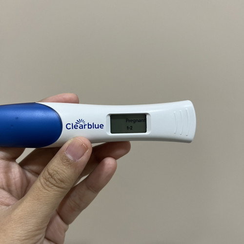 1st trimester