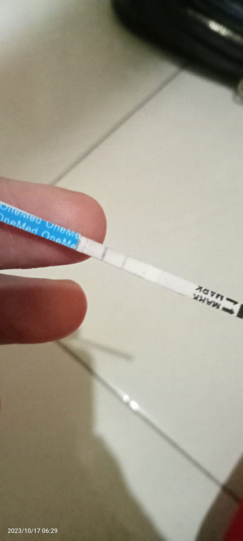 Hamil atau nggk ya??