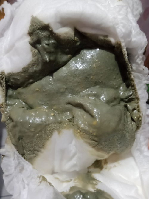 Maaf bunda, aku pengen tanya, pup si dd warna nya seperti itu bahaya atau gk ? Bayiku umur 3 bulan..