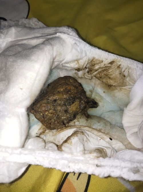 Poop after feed bearbrand