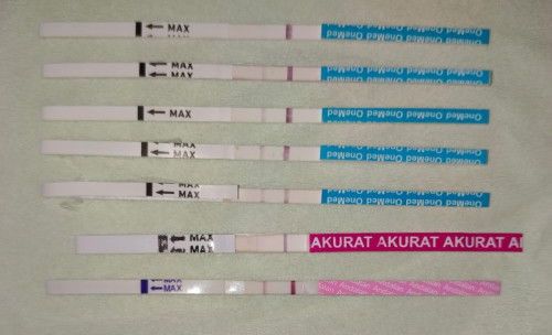 Curhat lagi bun... Mohon bantu jwab ya bundaa,🤗