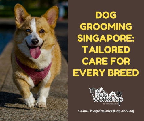 Understanding Grooming Duration for Different Dog Breeds:- The Pets Workshop