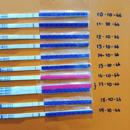 แม่ๆบ้านไหนมีประสบการณ์ใช้ชุดตรวจไข่ตกบ้างไหมคะ