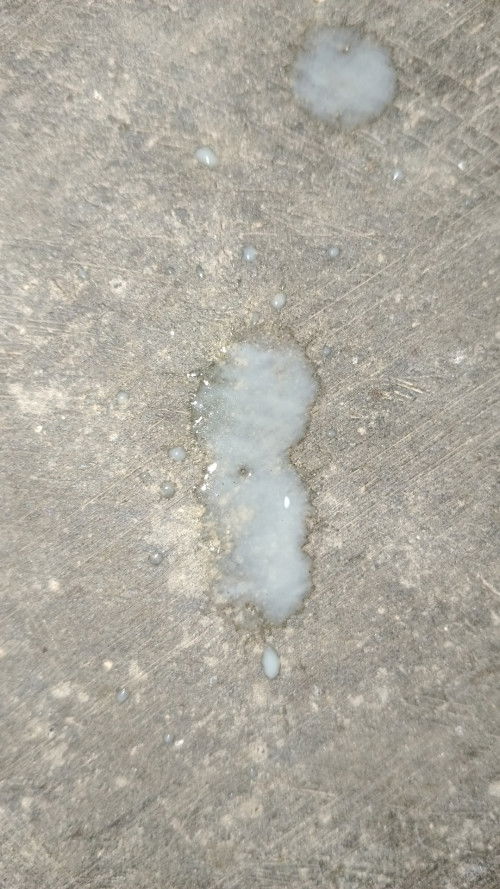 Keputihan atau ketuban