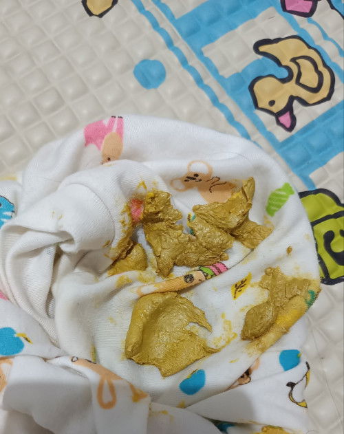 pup bayi 3 bulan seperti orang dewasa