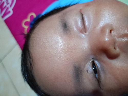 Bantu dijwb dong bun