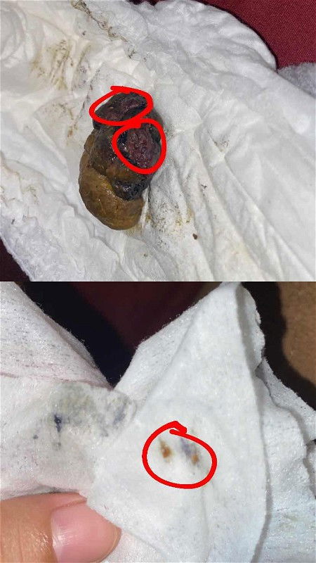 PUP BAYI HITAM ADA MERAHNYA