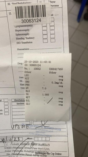 Test urine