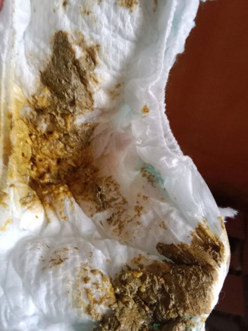 Bab bayi 4 bulan 21 hari