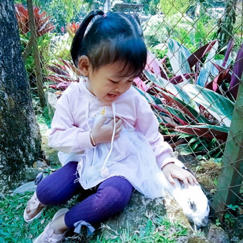 Anak 2 tahun takut orang sekitar