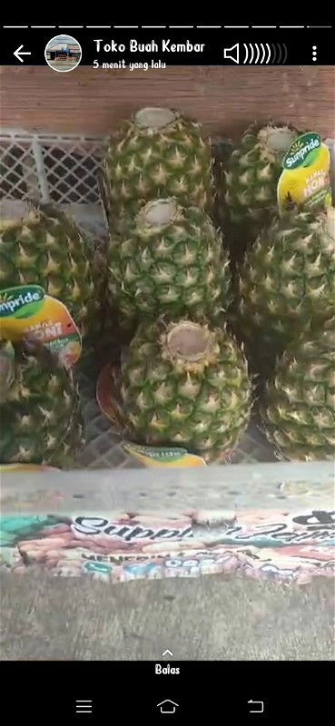 Hpla 27 okt tapi tidak ada tanda2