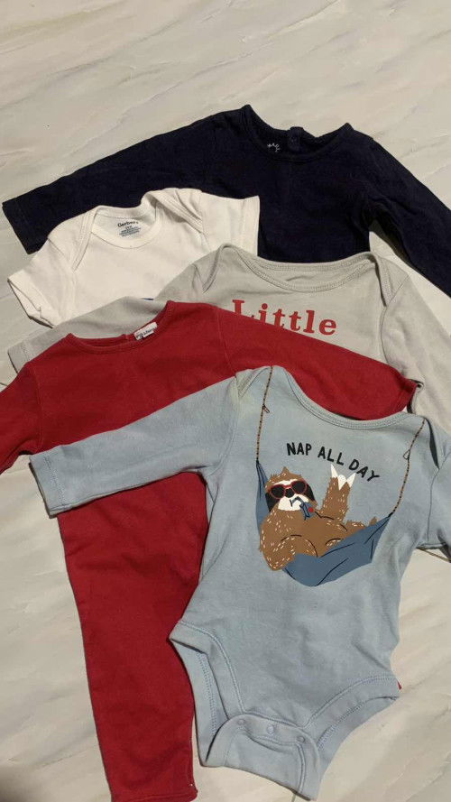 0-3เดือน ลูกชาย   5ตัว   69 รส