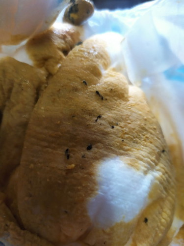 Poop ni LO