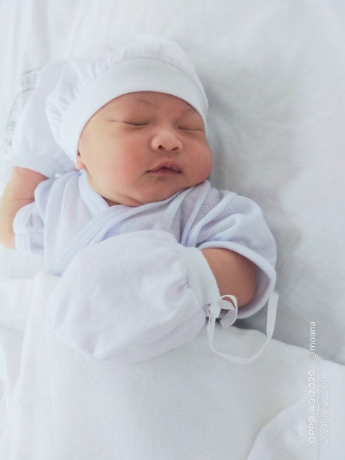 No more Sana all 🥰