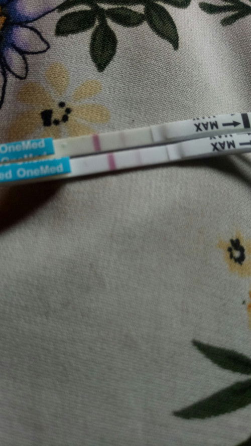 Nanya karena bingung