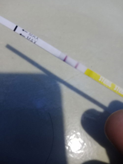 HPHT 6 Oktober, udah coba Tespeck