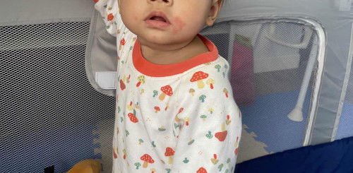 แนะนำหน่อยค่ะ