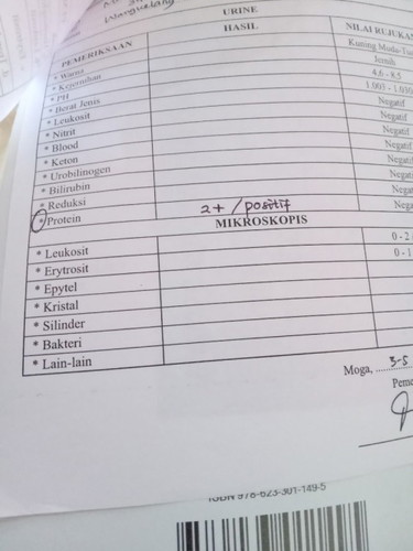 Kalau protein urin positif 2+ bahaya ngga bunda?ada yang sama ngga bunda kaya aku,,