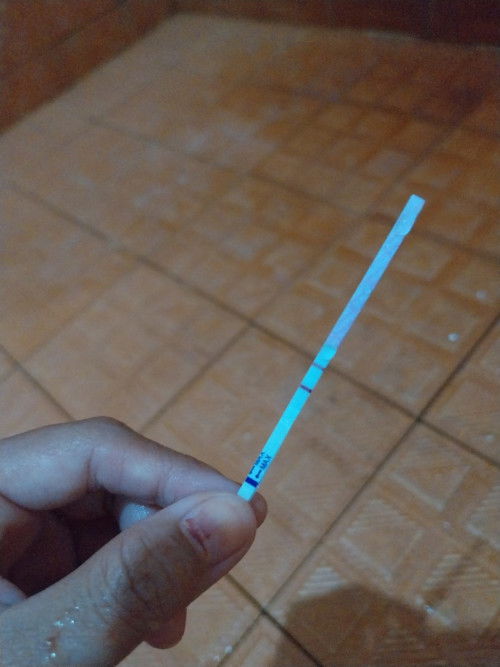 Apa langkah selanjutnya setelah mengetahui hamil? Saya nikah 17 September 2023 baru tes pek tadi pgi