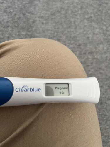 Early Pregnancy