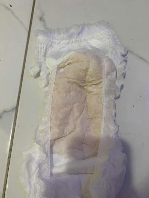 Pipis anak warna oren