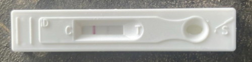 Positive po or negative?