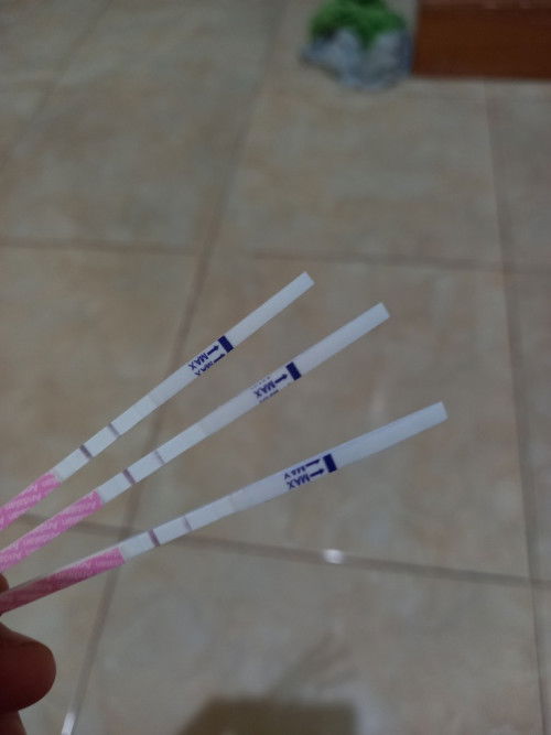 Ass. bun mo tanya ini positif hamil apa gmna bun?