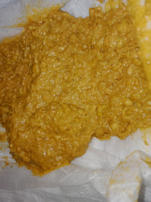 Pup Bayi sufor 2 bulan