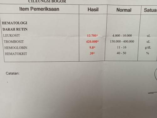 Hasil lab darah..